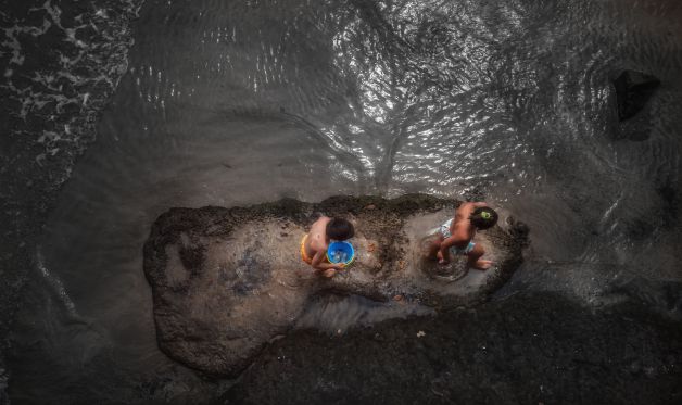 vamos a por cangrejos