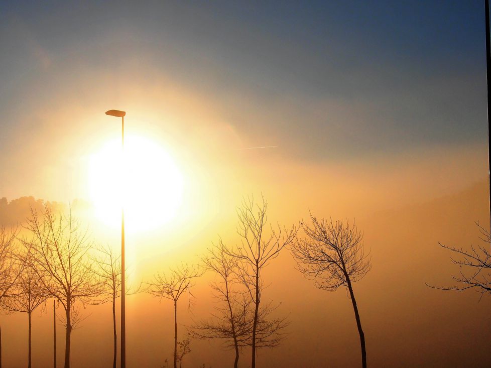 Amanecer con niebla