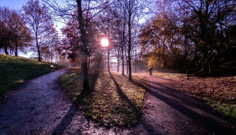 AMANECER EN EL PARQUE