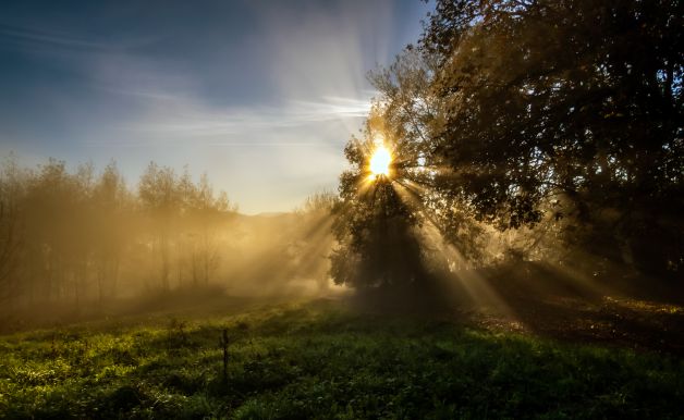 AMANECER EN EL PARQUE