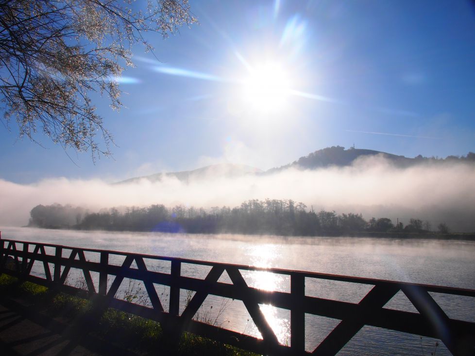 Amanecer con sol y niebla