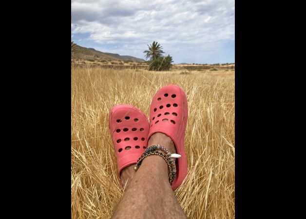 ¿ande andará el león?