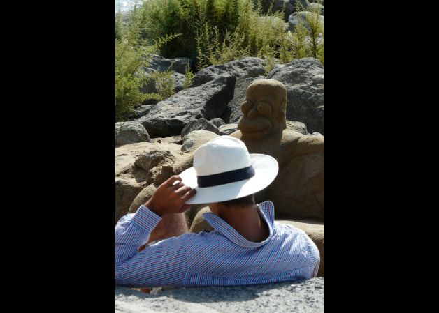 El artista y su obra.