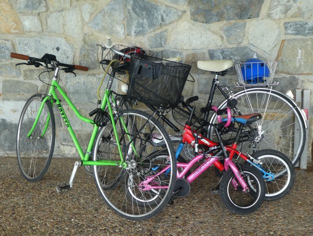 Bicis de familia