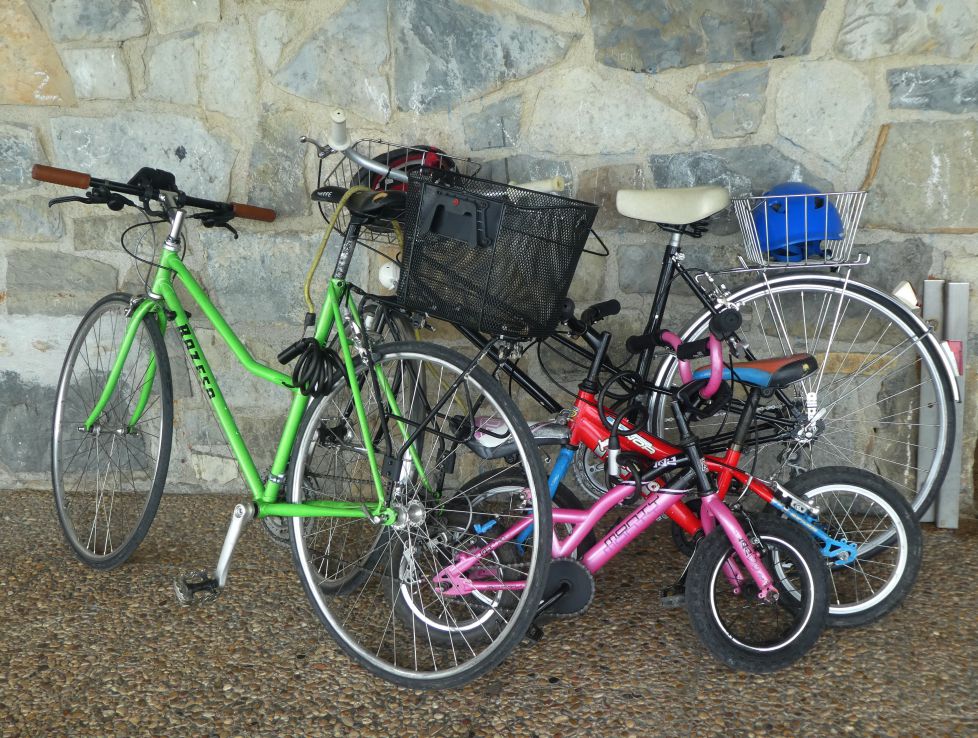 Bicis de familia