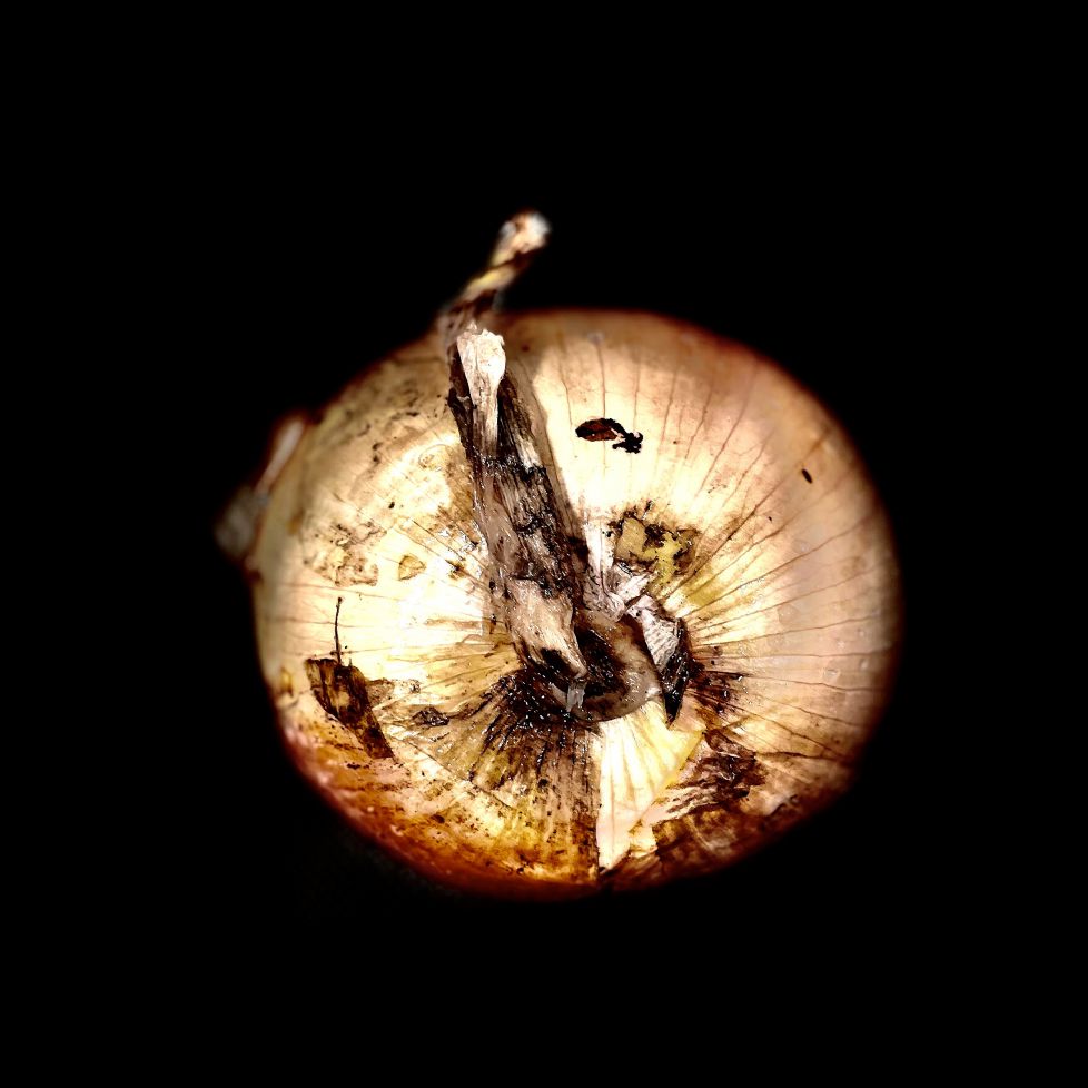 Cada quien se busca su cebolla para llorar