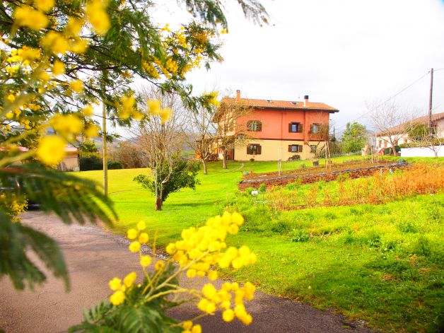 El caserio y la mimosa