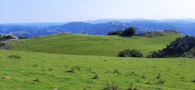 Como un gran campo de golf.