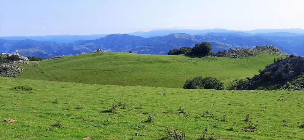 Como un gran campo de golf.