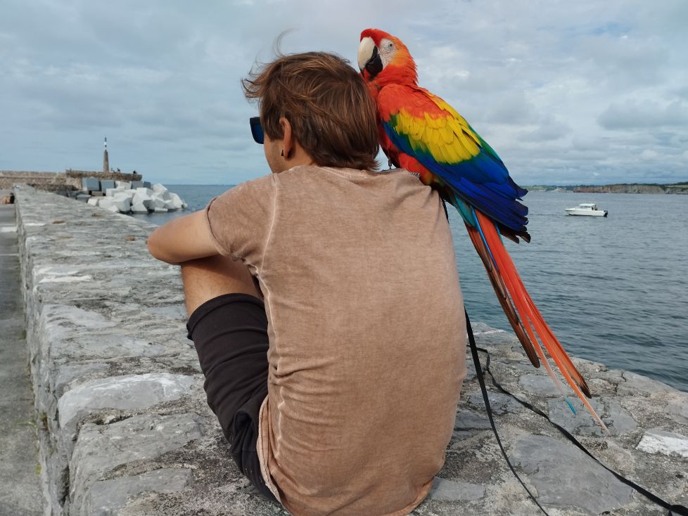 Confidencias entre amigos