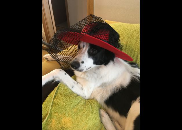 EKI SE PREPARA PARA EL CALOR