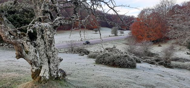 Escarcha en Aralar,