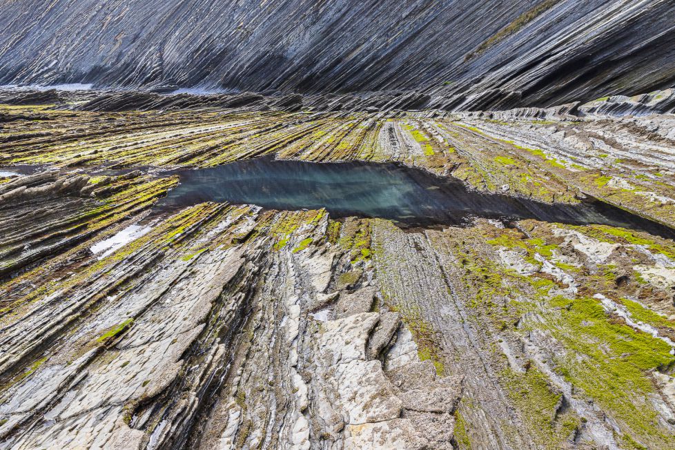 FLYSCH