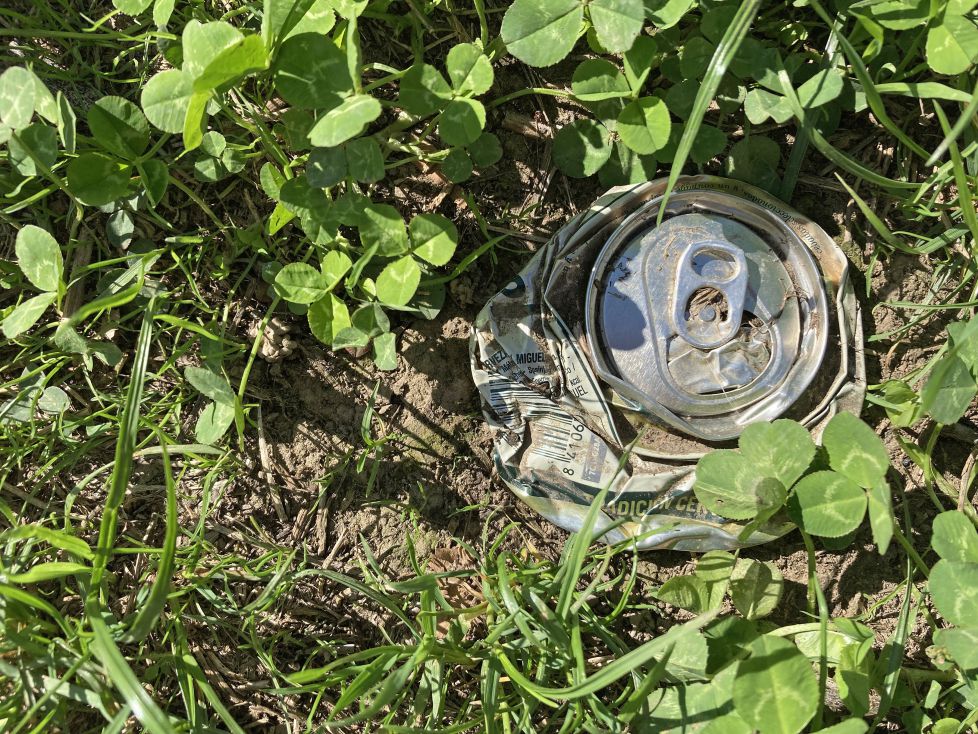 no las plantes que no salen