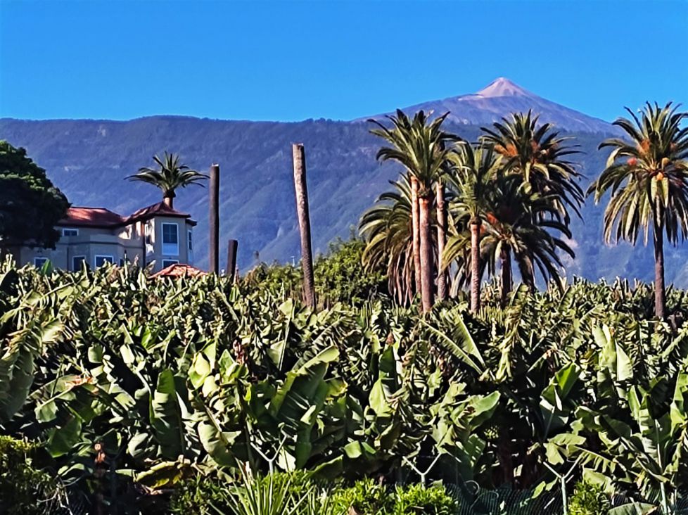 A las puertas del paraíso
