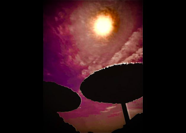 Las sombrillas bajo el sol