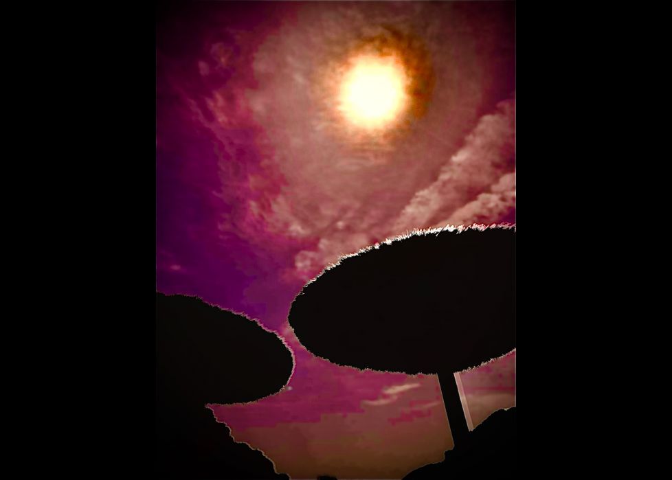 Las sombrillas bajo el sol