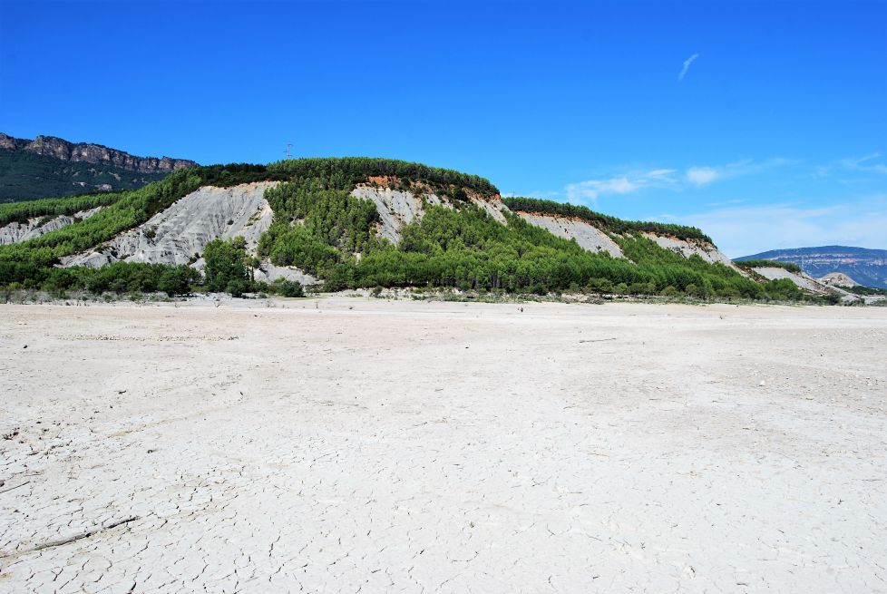 Metidos en el pantano.