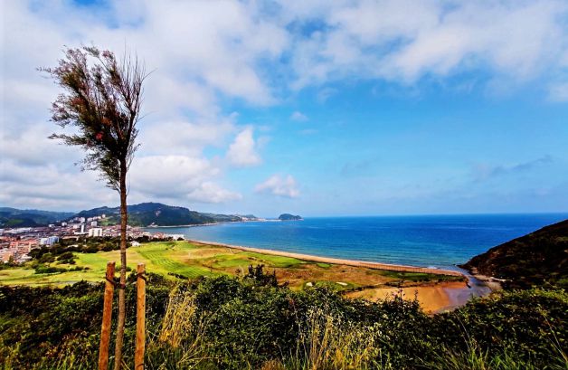 Mirando los bigotes del Sagu