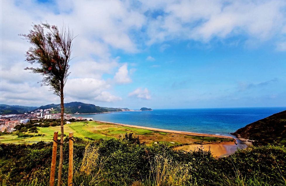 Mirando los bigotes del Sagu