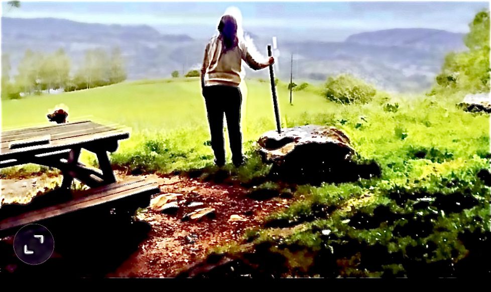 El monte es libertad, respétala