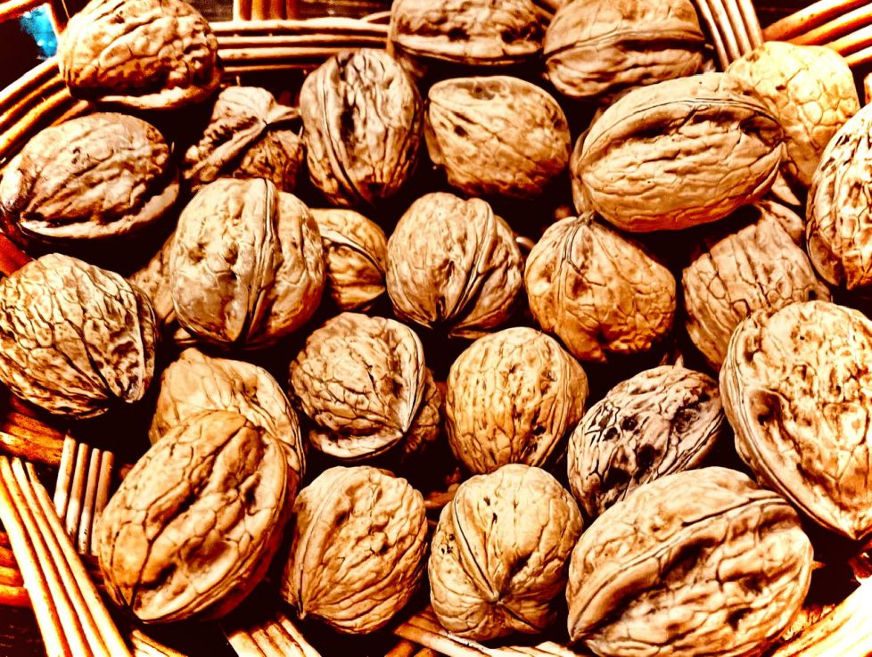 Nueces