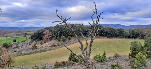 Paisaje invernal en Treviño.