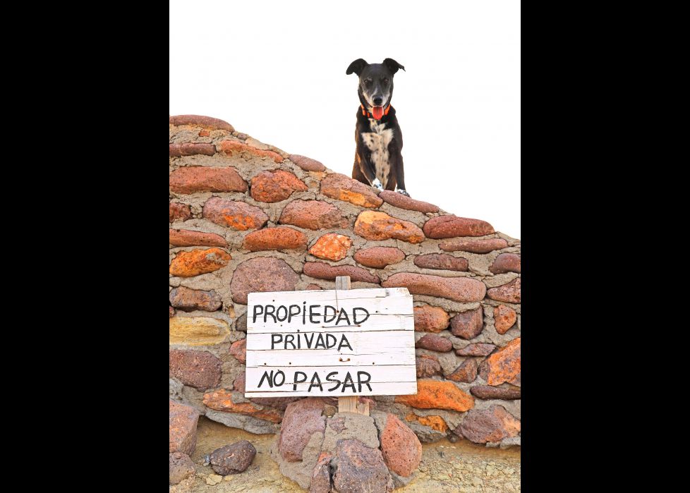 ¡pasa, pasa..............!