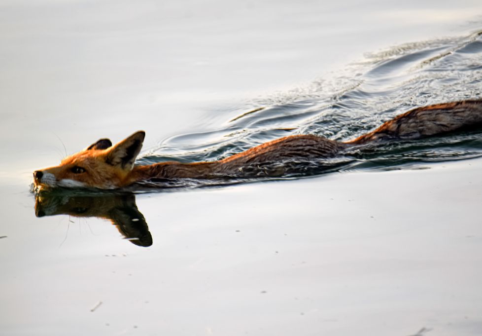 DE PASEO POR EL BIDASOA