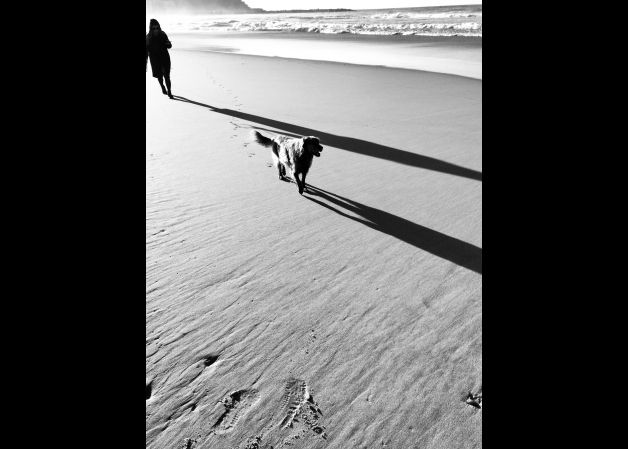 Un paseo por la playa