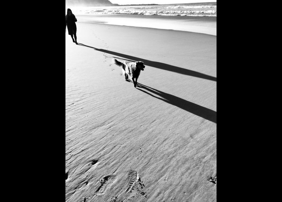 Un paseo por la playa