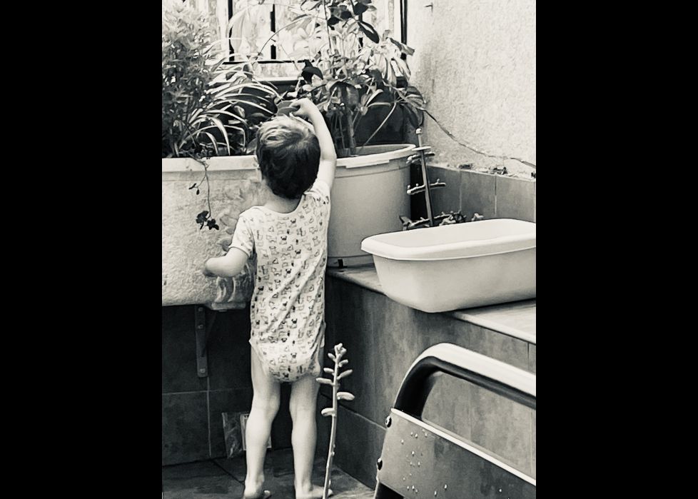 Pequeño gran jardinero