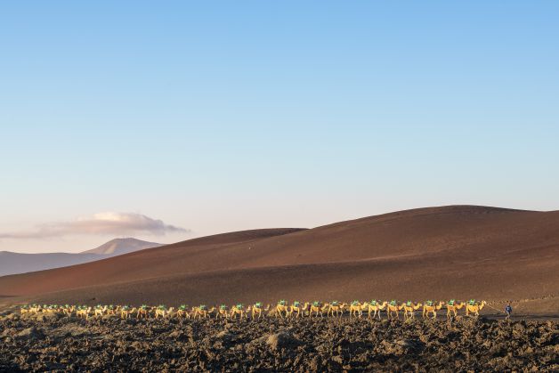 Postal desde Lanzarote