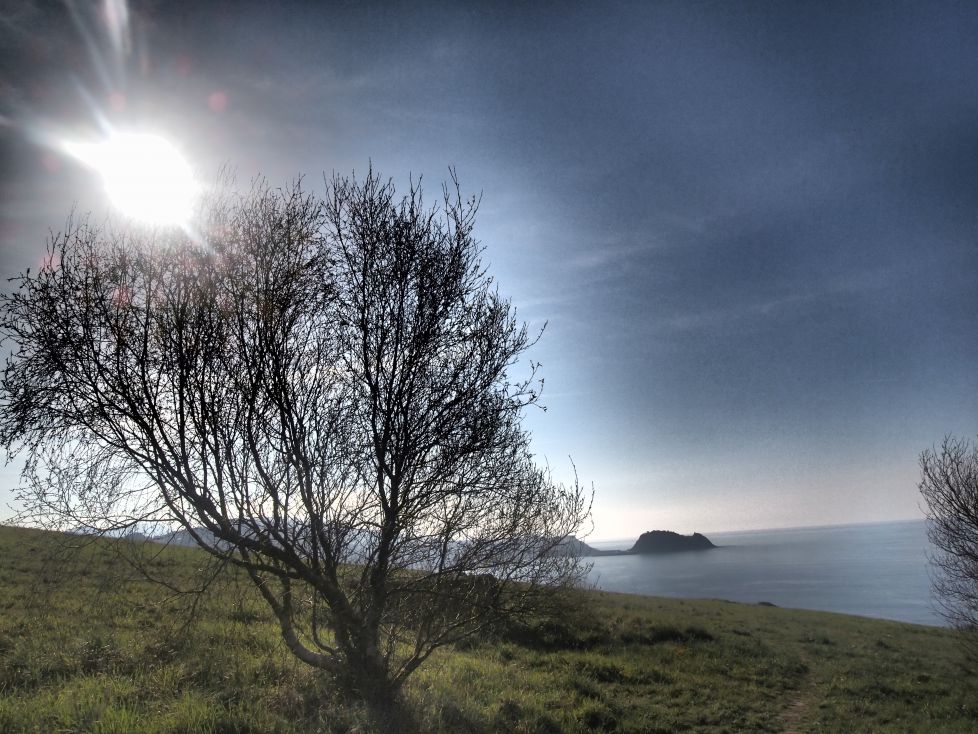 El raton bajo el sol