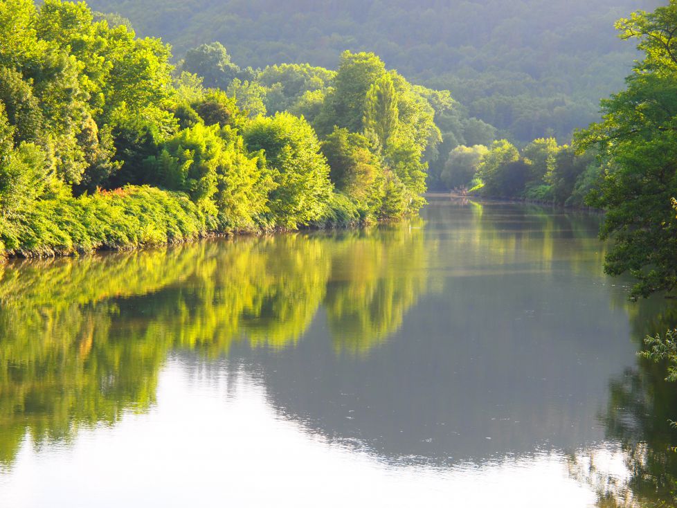 Reflejos en el rio Oria