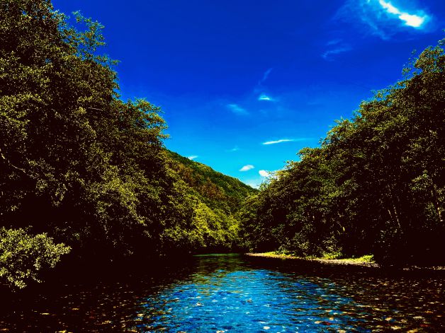El río sabe: que no hay prisa. que llegara allí algún día