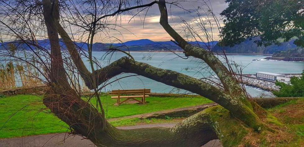 Siempre habrá un banco para mirar al mar