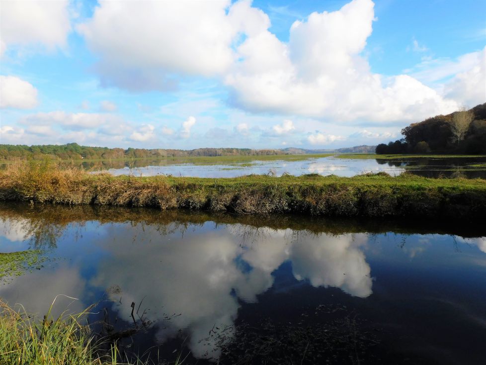 No son inundaciones.