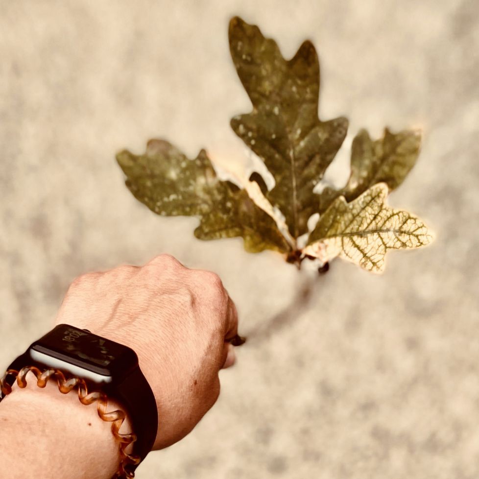 No tengo tiempo para tener prisa