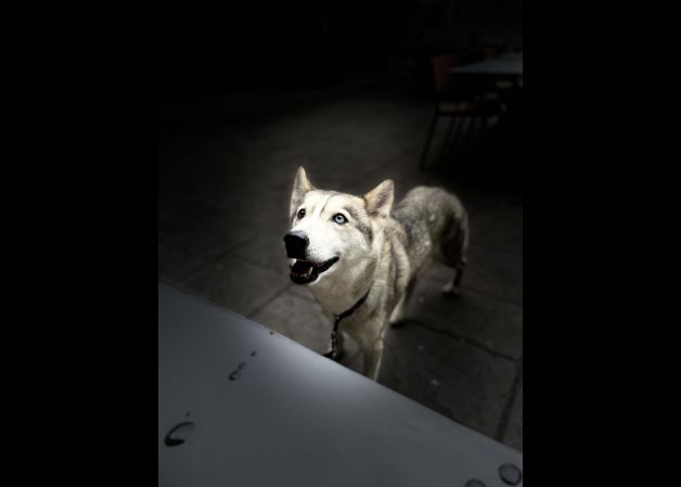 Una mirada interesante