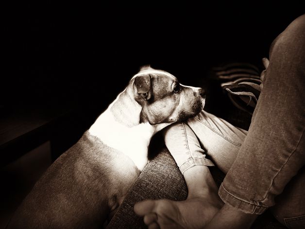 ¿ Vamos a la calle ?