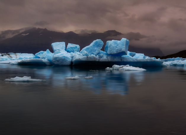 Verano en el Ártico