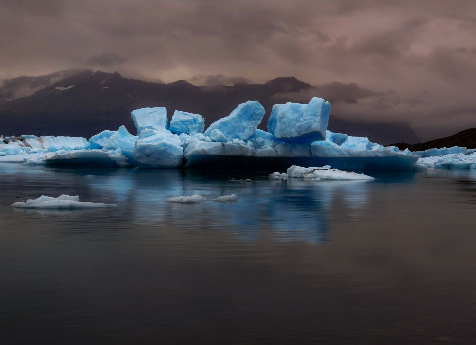 Verano en el Ártico