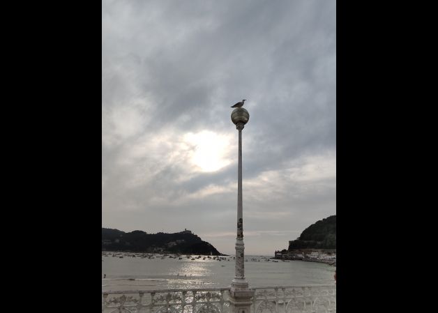 La vigilante de la playa