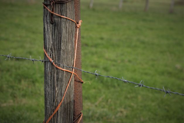 Algo más que líneas