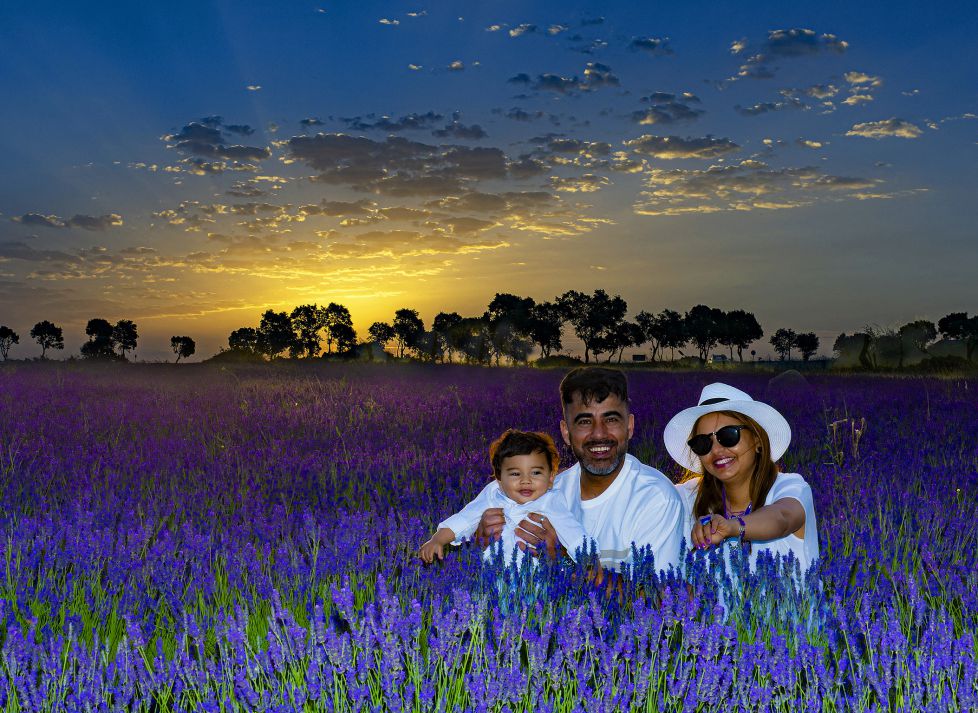 Amanacer en los campos de lavanda