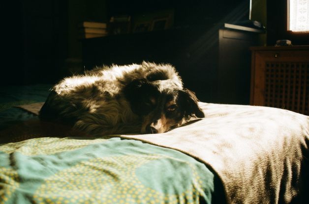 Argi quiere decir luz.