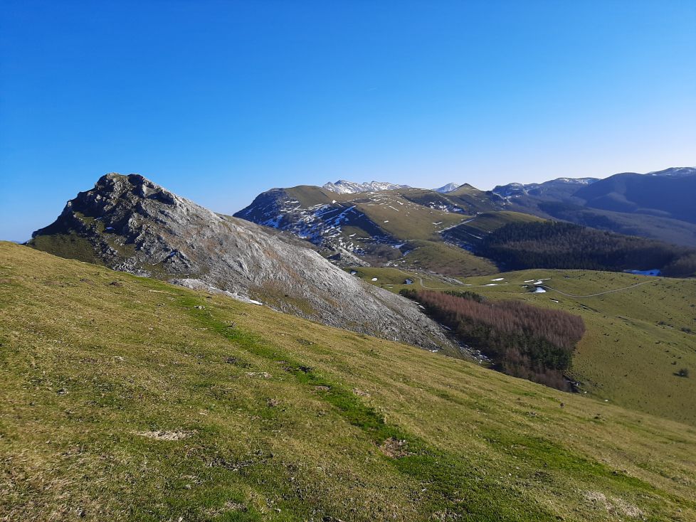 Azúcar glas para decorar el paisaje.