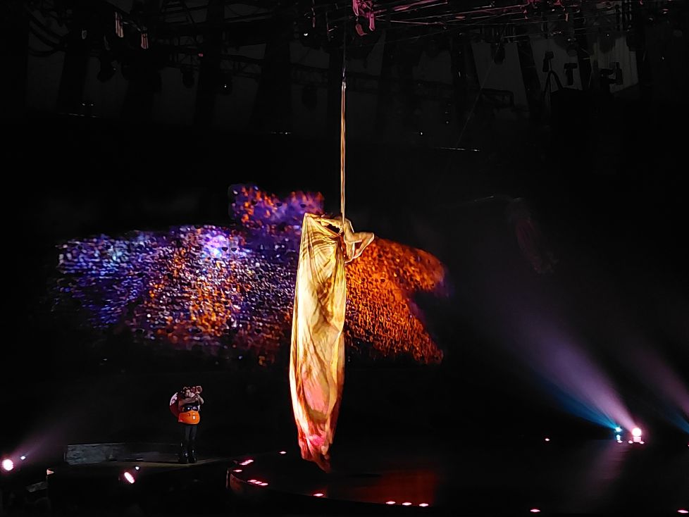 Belleza suspendida en el aire