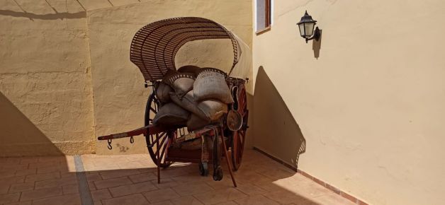 Carro cargado de cacao. 